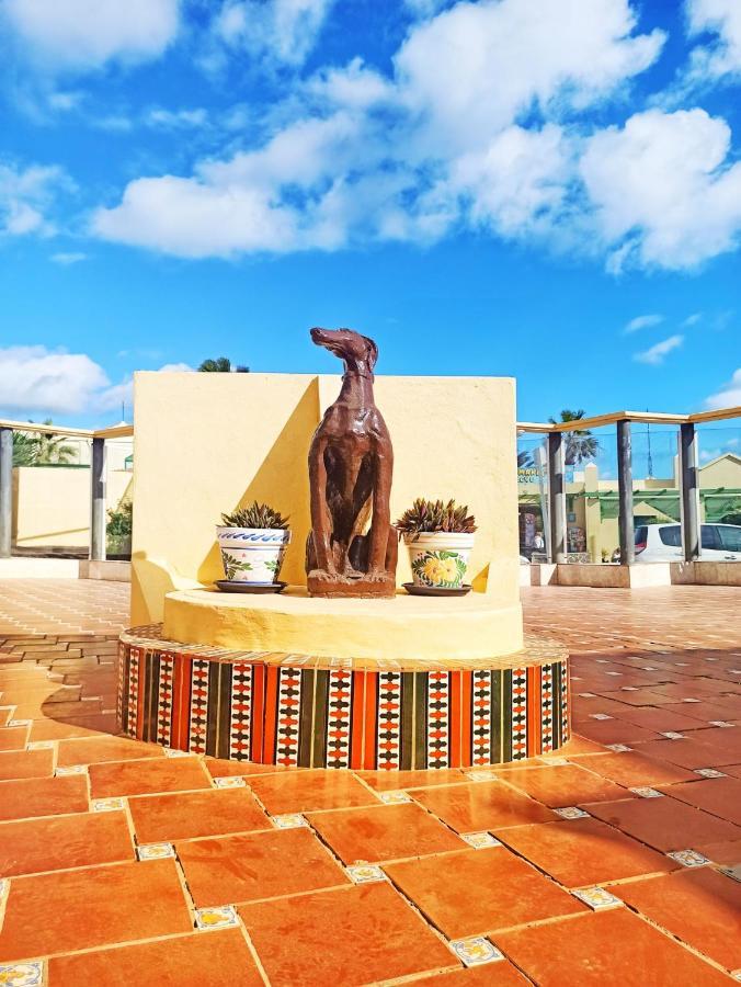 Caleta Paraiso 127 科斯塔德安提瓜 外观 照片